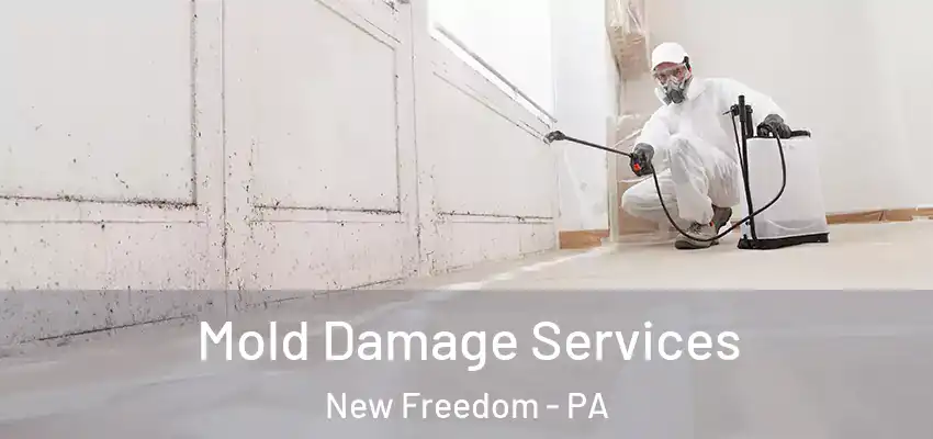  Mold Damage Services New Freedom - PA