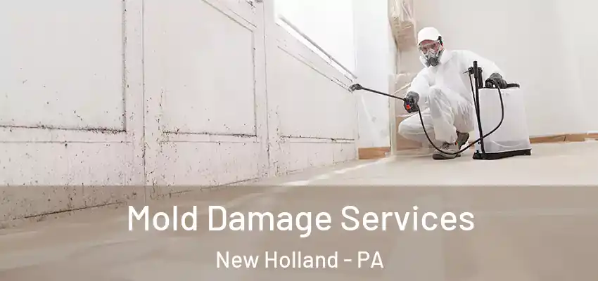 Mold Damage Services New Holland - PA