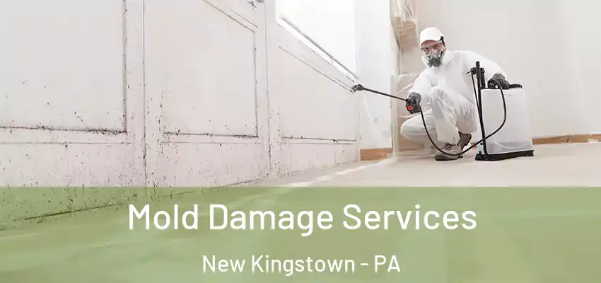 Mold Damage Services New Kingstown - PA