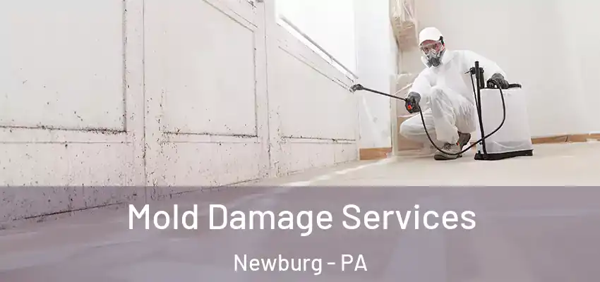  Mold Damage Services Newburg - PA