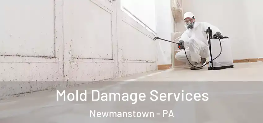 Mold Damage Services Newmanstown - PA