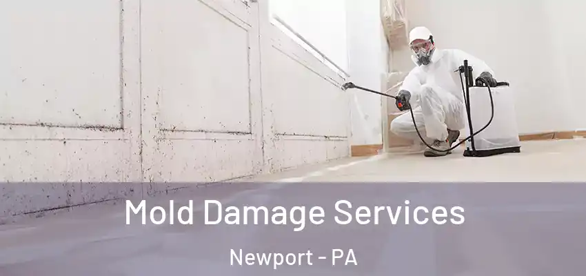  Mold Damage Services Newport - PA