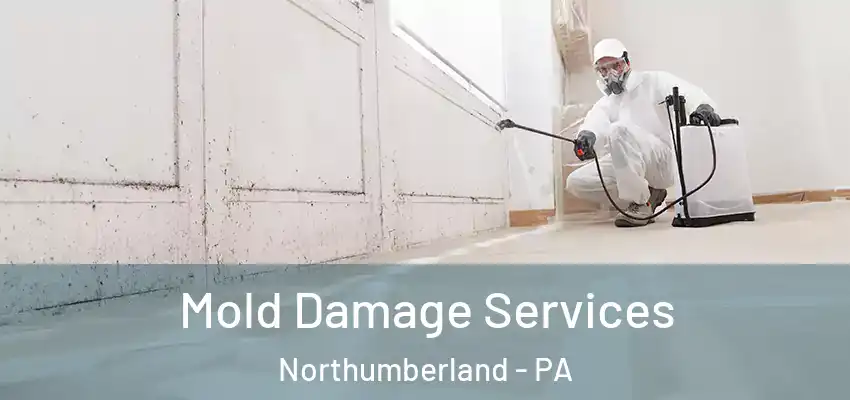 Mold Damage Services Northumberland - PA