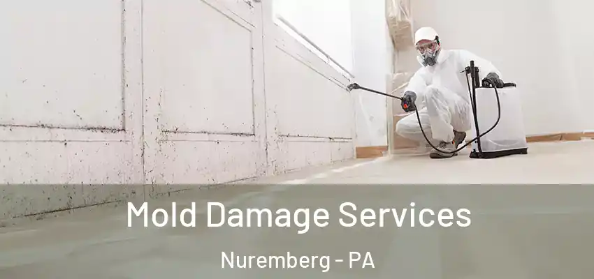  Mold Damage Services Nuremberg - PA