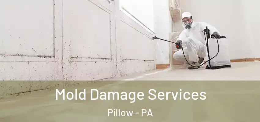 Mold Damage Services Pillow - PA