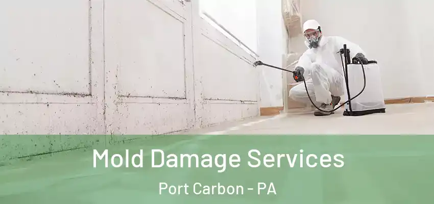 Mold Damage Services Port Carbon - PA