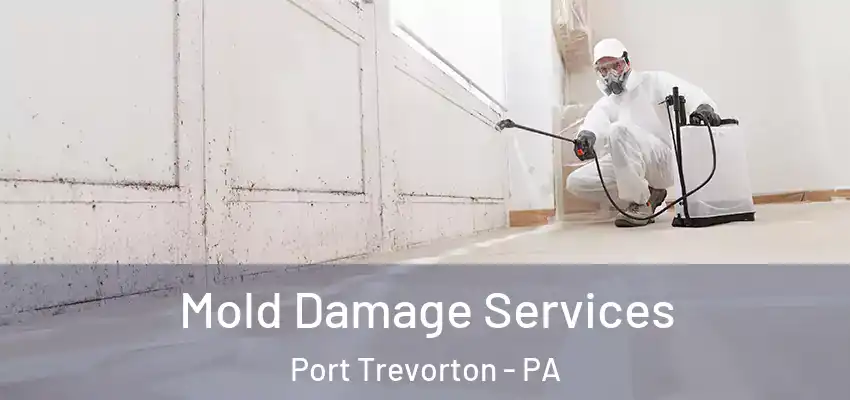  Mold Damage Services Port Trevorton - PA
