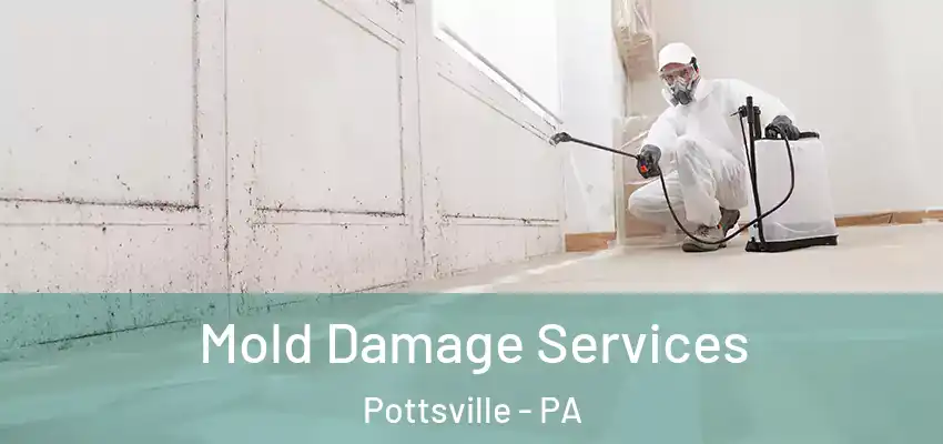 Mold Damage Services Pottsville - PA
