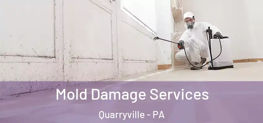  Mold Damage Services Quarryville - PA