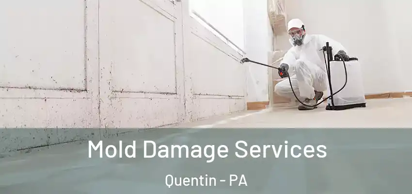 Mold Damage Services Quentin - PA