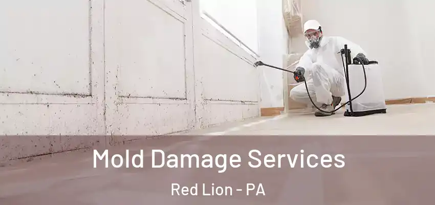  Mold Damage Services Red Lion - PA