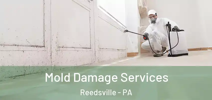  Mold Damage Services Reedsville - PA