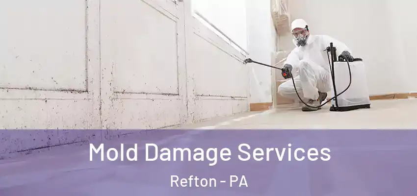 Mold Damage Services Refton - PA