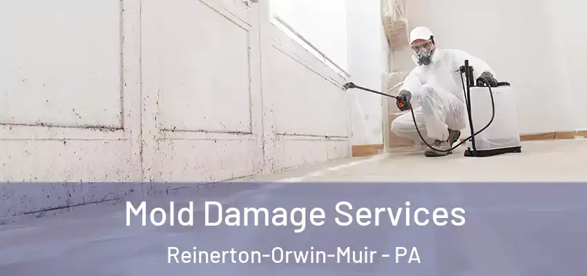 Mold Damage Services Reinerton-Orwin-Muir - PA