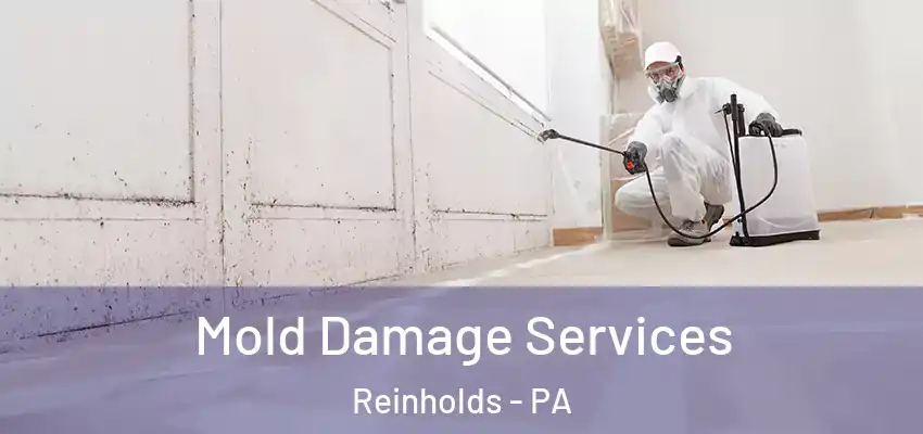  Mold Damage Services Reinholds - PA