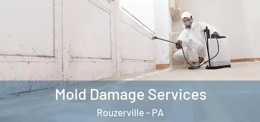 Mold Damage Services Rouzerville - PA