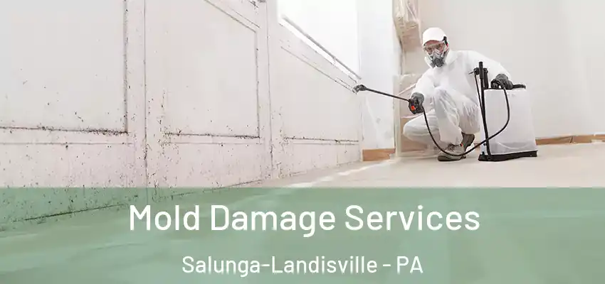  Mold Damage Services Salunga-Landisville - PA