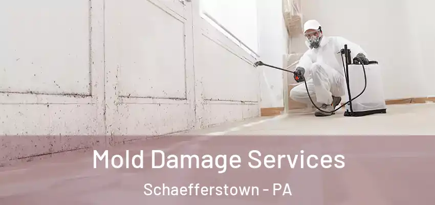 Mold Damage Services Schaefferstown - PA