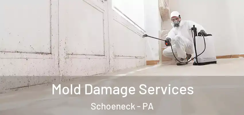 Mold Damage Services Schoeneck - PA