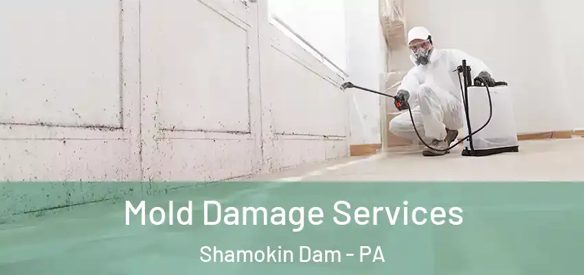  Mold Damage Services Shamokin Dam - PA