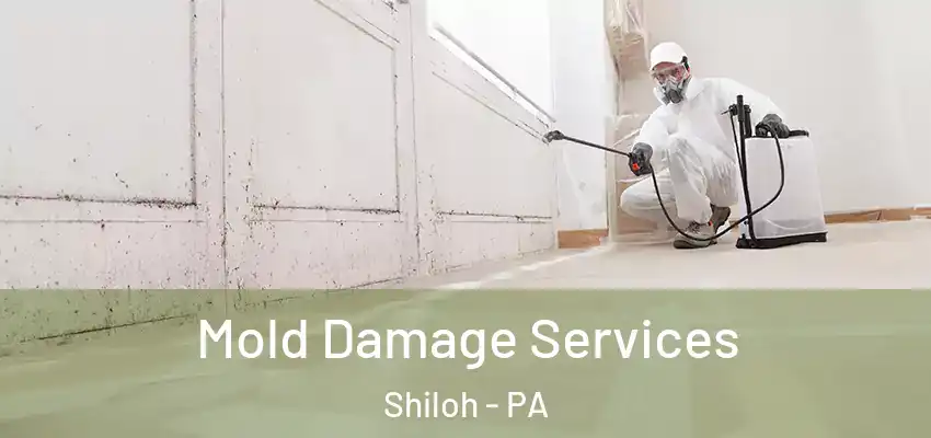 Mold Damage Services Shiloh - PA