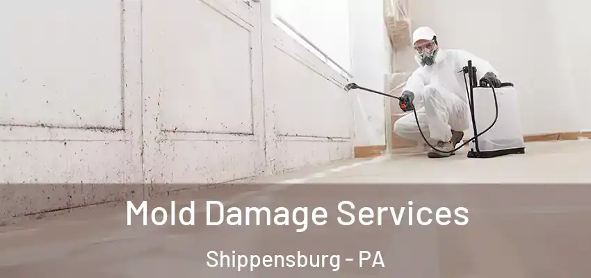  Mold Damage Services Shippensburg - PA