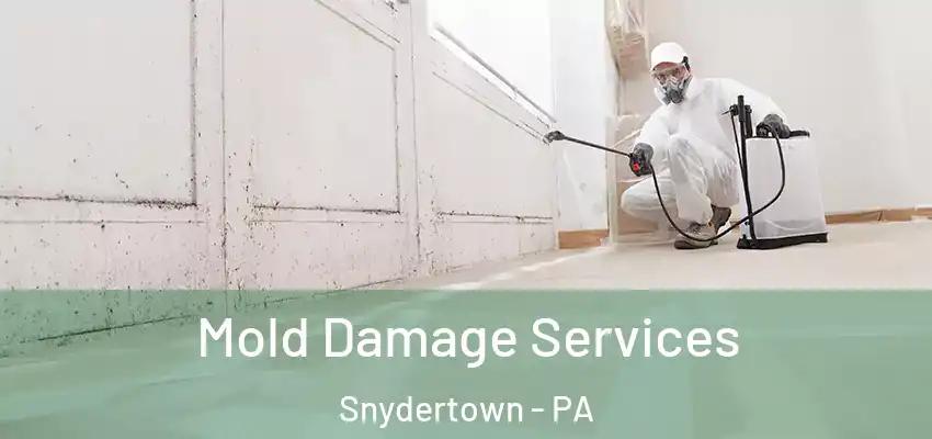 Mold Damage Services Snydertown - PA