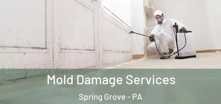 Mold Damage Services Spring Grove - PA