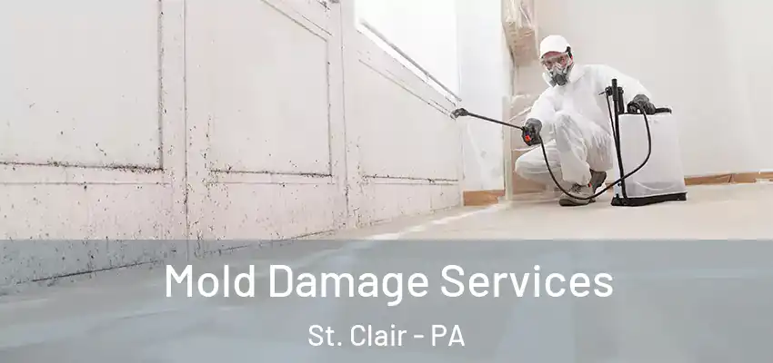  Mold Damage Services St. Clair - PA