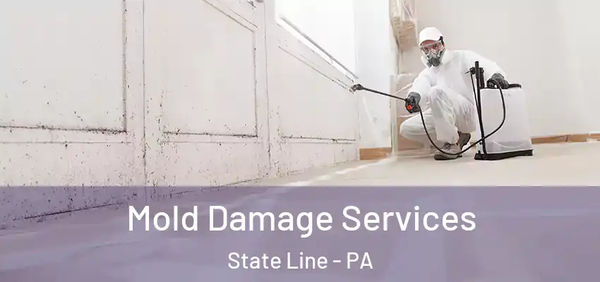 Mold Damage Services State Line - PA