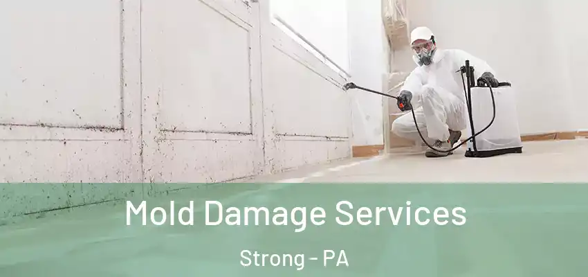  Mold Damage Services Strong - PA