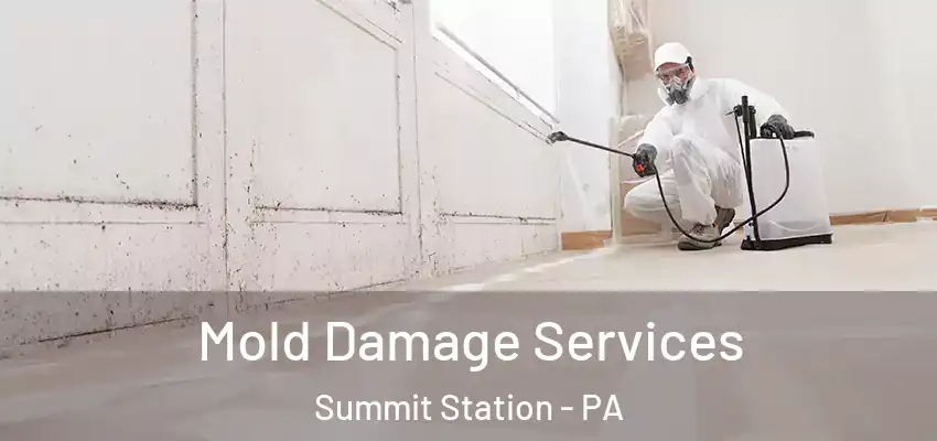  Mold Damage Services Summit Station - PA