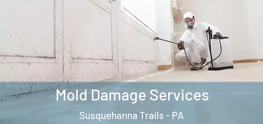  Mold Damage Services Susquehanna Trails - PA
