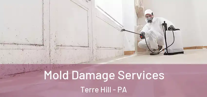 Mold Damage Services Terre Hill - PA