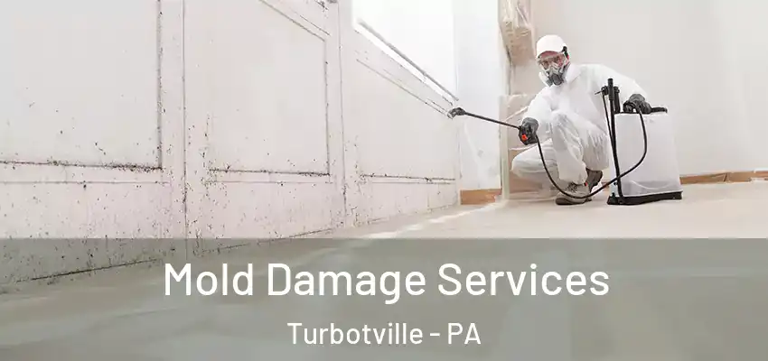  Mold Damage Services Turbotville - PA