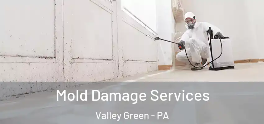  Mold Damage Services Valley Green - PA
