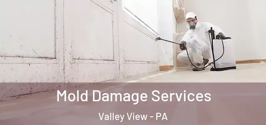 Mold Damage Services Valley View - PA