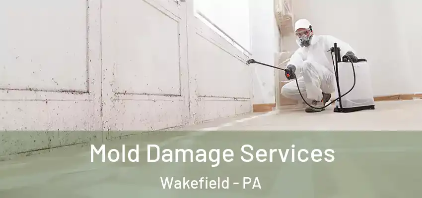 Mold Damage Services Wakefield - PA