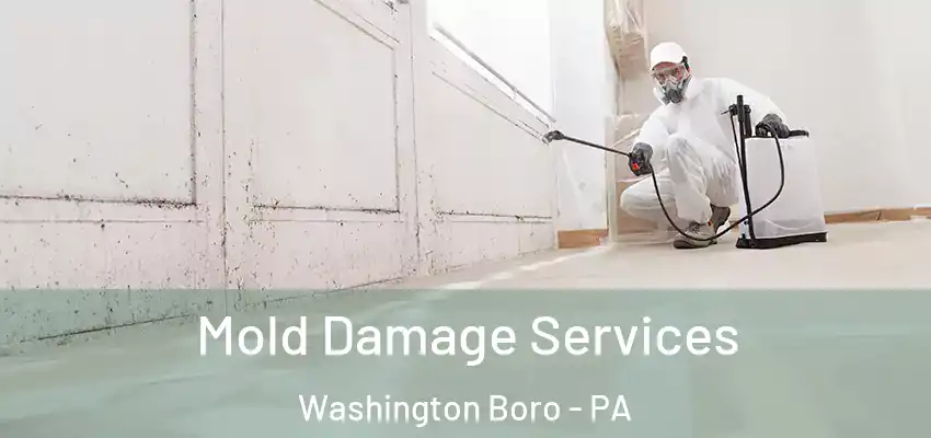 Mold Damage Services Washington Boro - PA