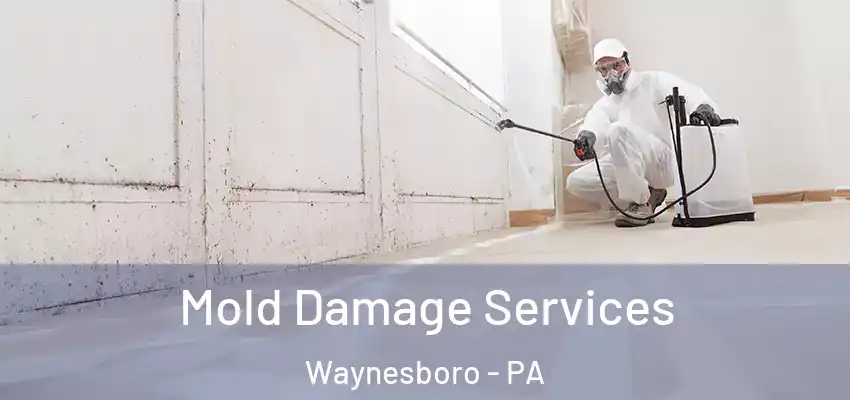  Mold Damage Services Waynesboro - PA