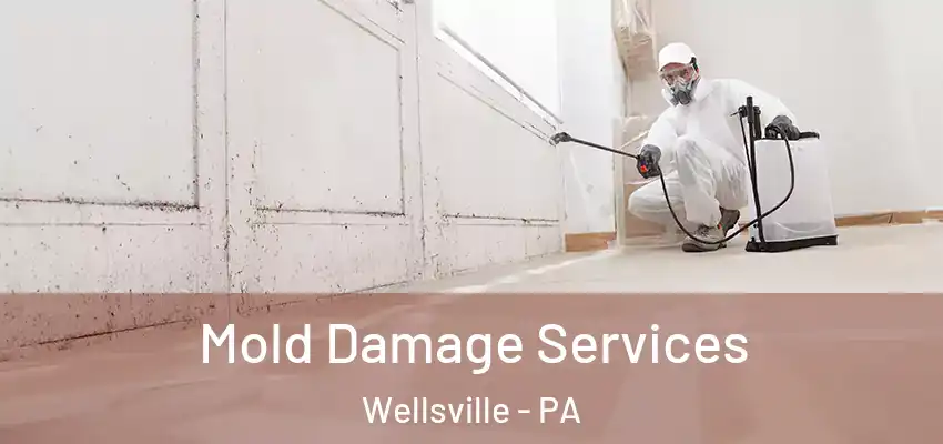 Mold Damage Services Wellsville - PA