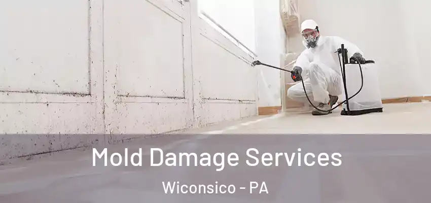 Mold Damage Services Wiconsico - PA