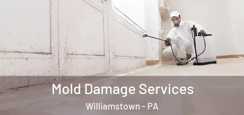 Mold Damage Services Williamstown - PA