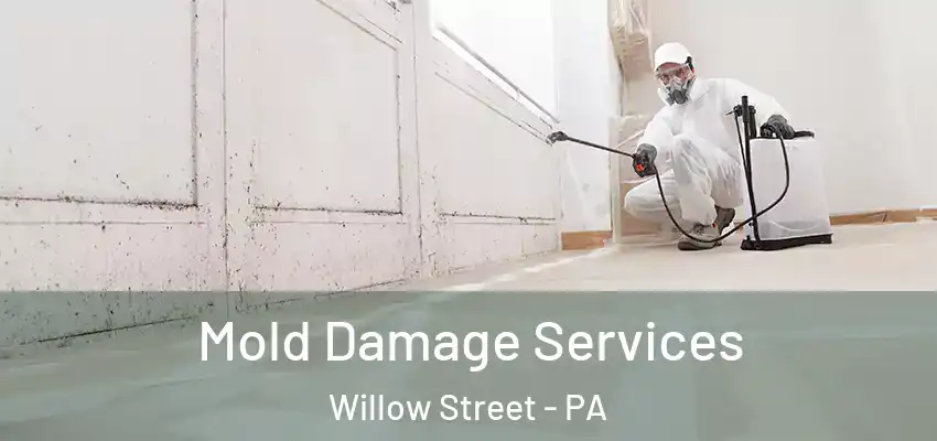  Mold Damage Services Willow Street - PA