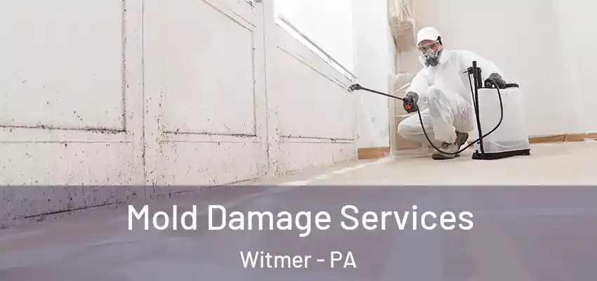 Mold Damage Services Witmer - PA