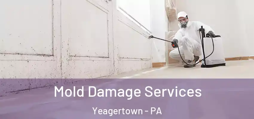  Mold Damage Services Yeagertown - PA