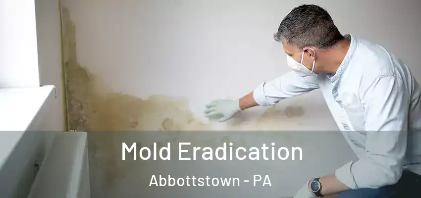  Mold Eradication Abbottstown - PA