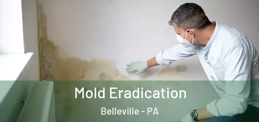 Mold Eradication Belleville - PA