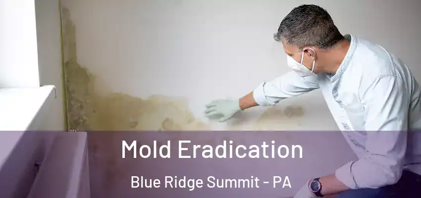 Mold Eradication Blue Ridge Summit - PA