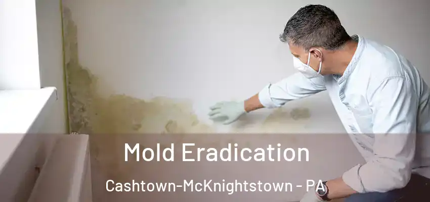  Mold Eradication Cashtown-McKnightstown - PA